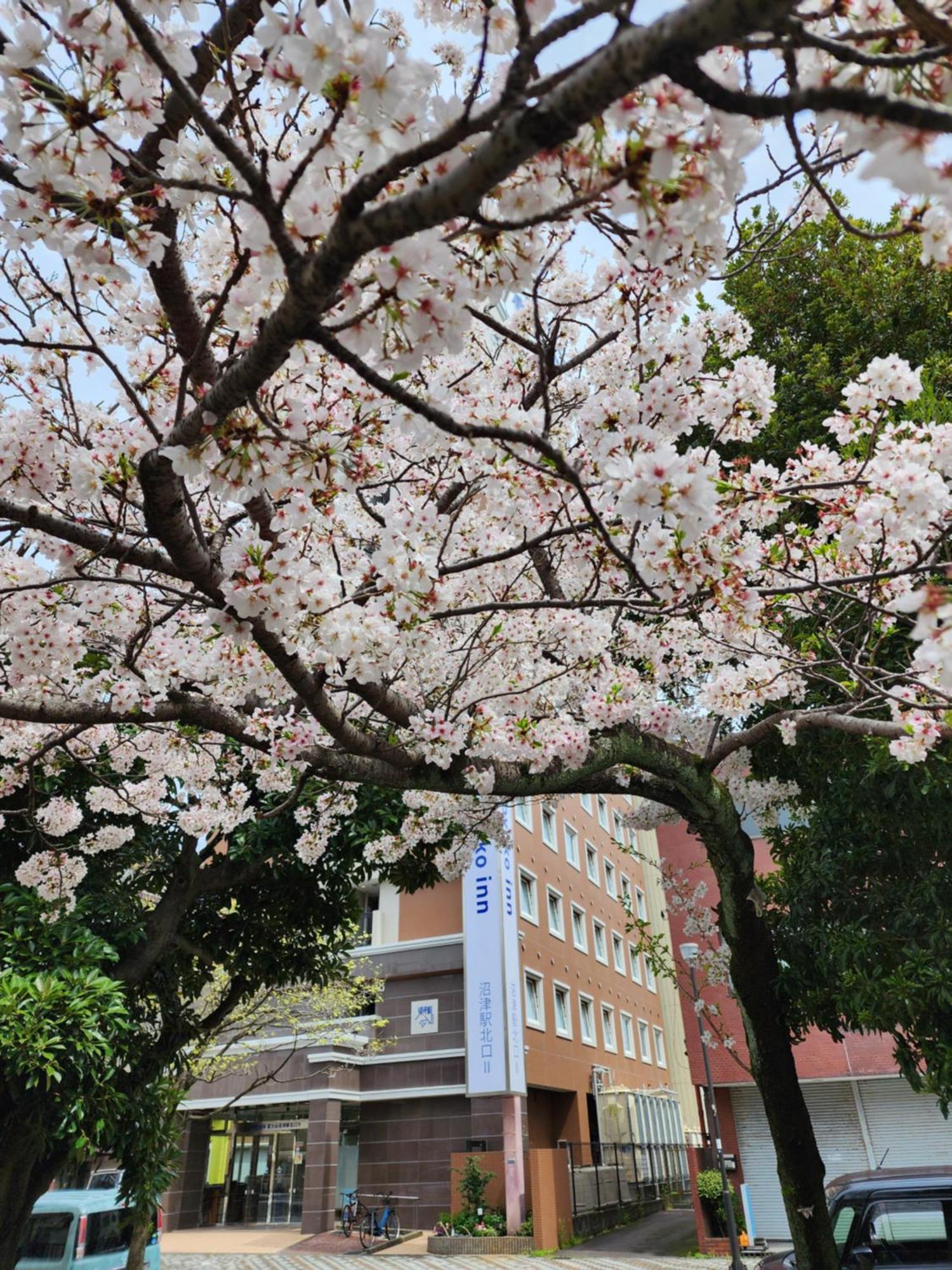 Toyoko Inn Fujisan Numazu Eki Kita Guchi No 2 Luaran gambar